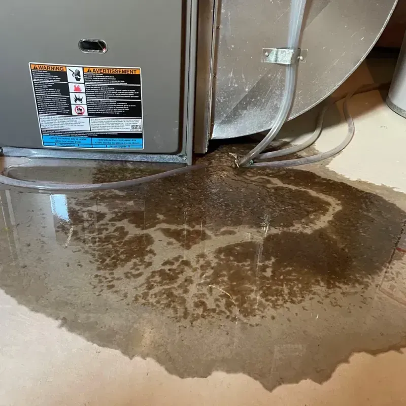 Appliance Leak Cleanup in Wellford, SC